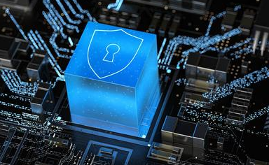 数藏平台安全漏洞扫描与风险评估：保障数据安全为中心