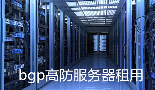 BGP高防服务器租用，优势何在？