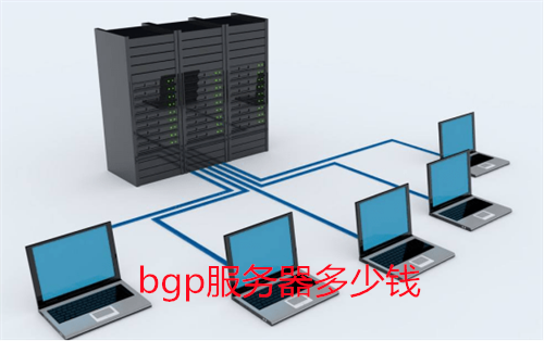 BGP云服务器注意事项及价格